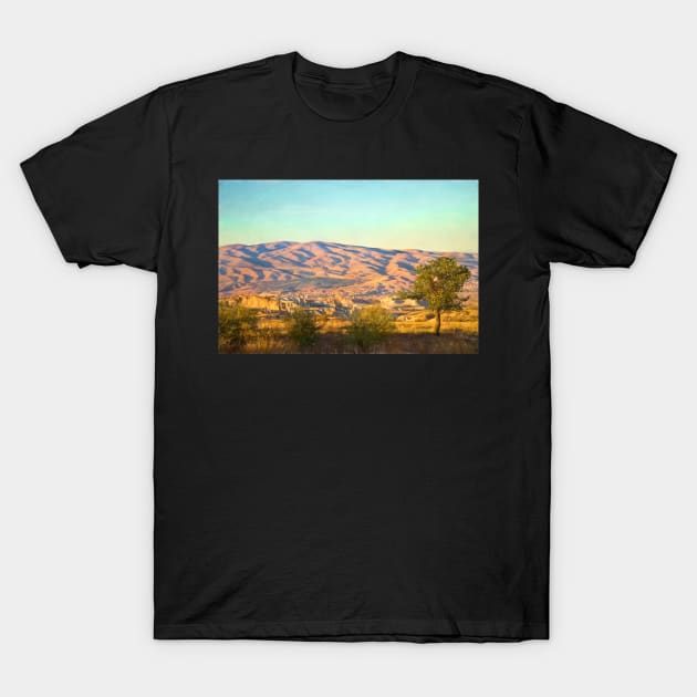 A view over Cappadocia T-Shirt by IanWL